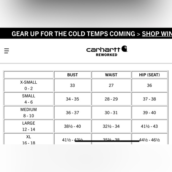 Carhartt RELAXED FIT MIDWEIGHT LOGO SLEEVE GRAPHIC SWEATSHIRT - Picture 14 of 14